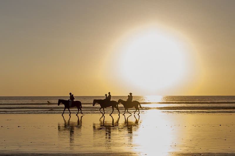 beachscenes_forweb_adamdietrich-11